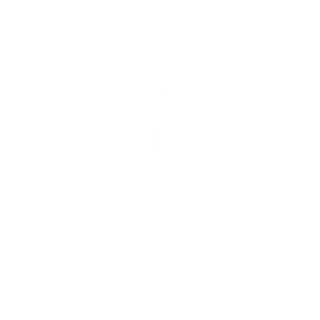 Viña Albali Valdepeñas